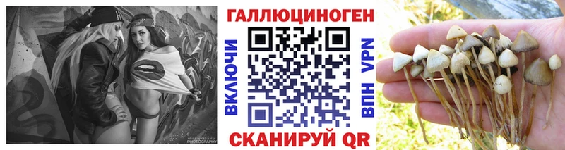 закладка OMG ССЫЛКА Псилоцибиновые грибы ЛСД сайты даркнета официальный сайт Ворсма